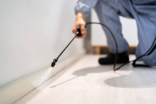 Cockroach Species Identification in McGehee